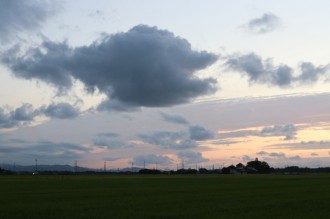 ８月３０日雲の魚