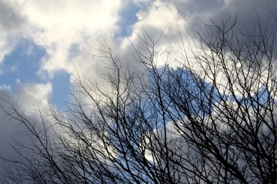 雲間の青空 (1)