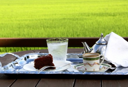 水田とお茶