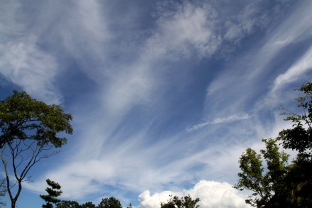 今日の雲