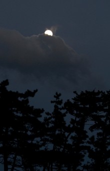 松と月と雲