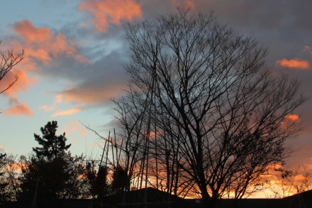 樹下美術館の夕雲