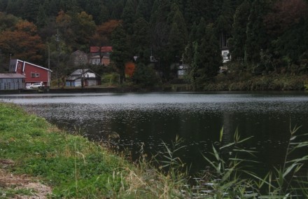 高津の池