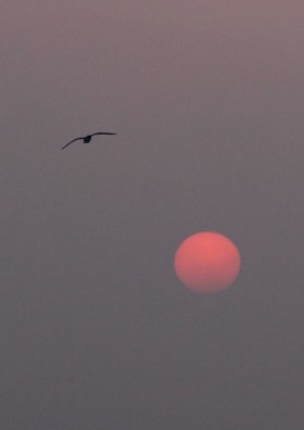 四ツ屋の初春の夕陽