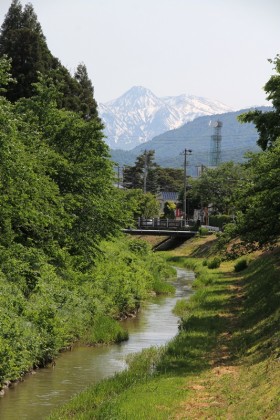 青田川西へ