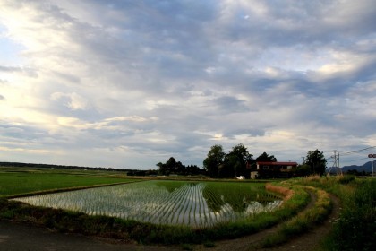 頸城区