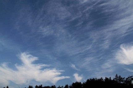 すじ雲