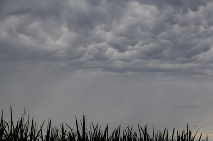 ２０１４０８１０の雲のズーム