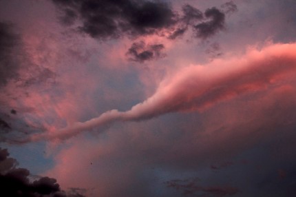 深海魚のような雲