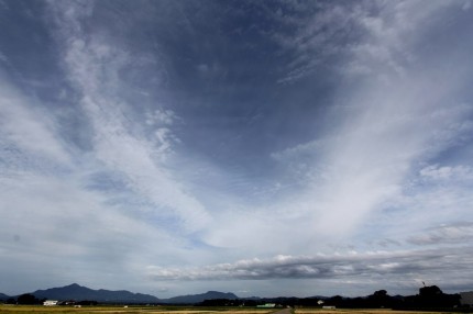 くびき野の田と雲