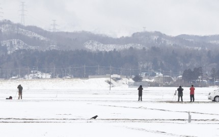 雪田で