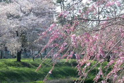 新堀川公園