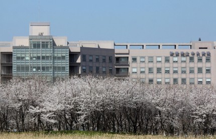 県立中央病院