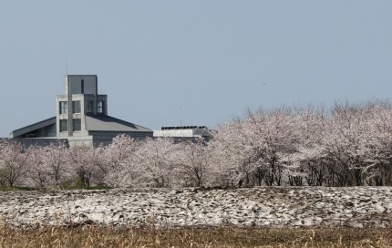 県立看護大学