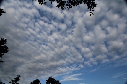 高積雲