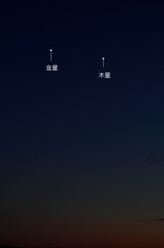 7月１１日