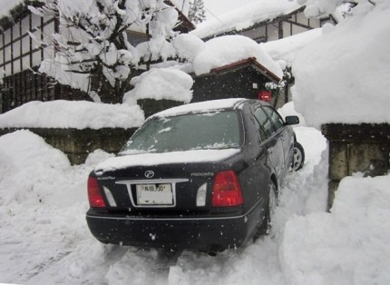 雪中のプログレ