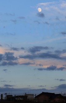 IMG_9354 - コピー