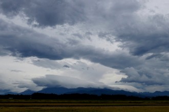 IMG_0151