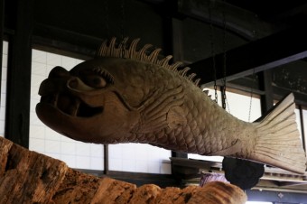 IMG_5034