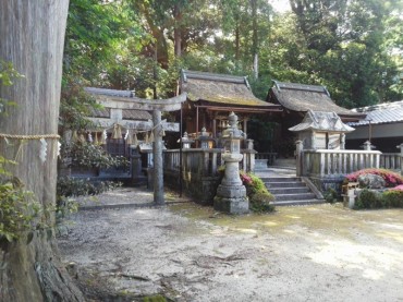 樹下神社