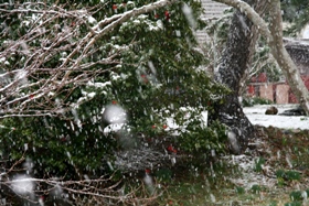 三月の雪