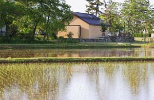 水田と樹下美術館