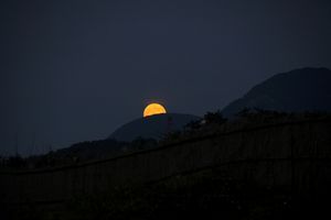 米山の肩に