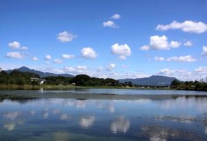 柿崎区坂田池