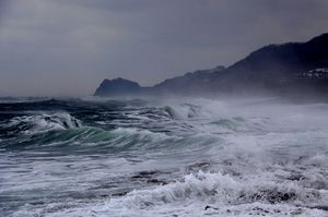 今日の海