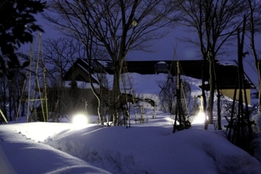 雪の樹下美術館