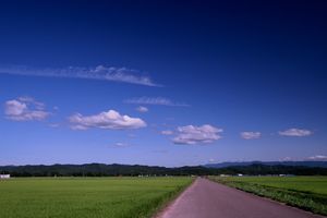 水田の雲