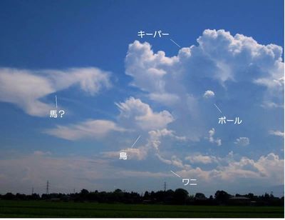 雲のサッカー