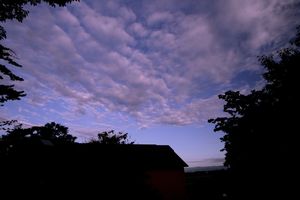 樹下美術館の雲