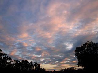 今日の夕焼け雲