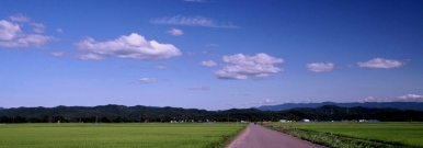 上越の水田と雲