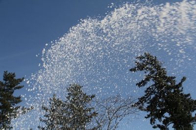 飛ぶ雪