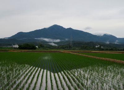 梅雨入りの米山