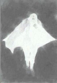 ④作品の白黒反転-1