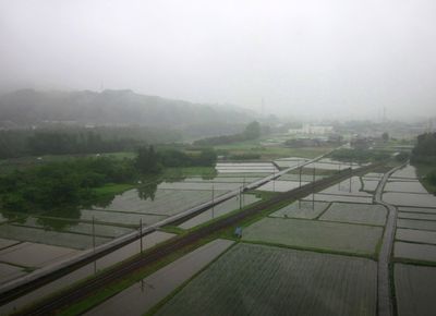 １群馬県北部の田んぼ