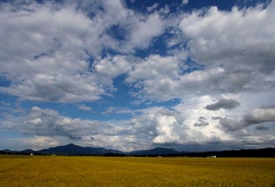 米山・尾神岳の雲