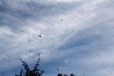 赤とんぼの空