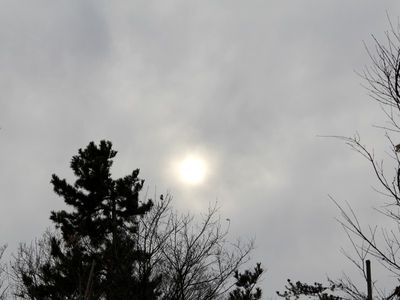 冬の太陽